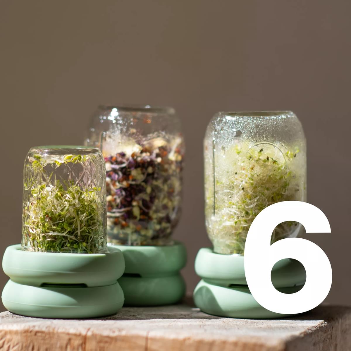 Sprout Huggers van Food Huggers step 6